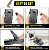 Step-by-step guide on how to set a mouse trap with clear instructions and illustrations.