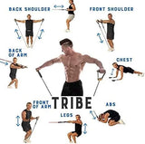 Illustration of a man using resistance bands with labeled muscle groups on a white background.