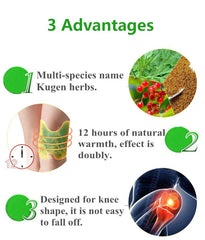 Wormwood Extract Knee Pain Relief Plaster (10pc)